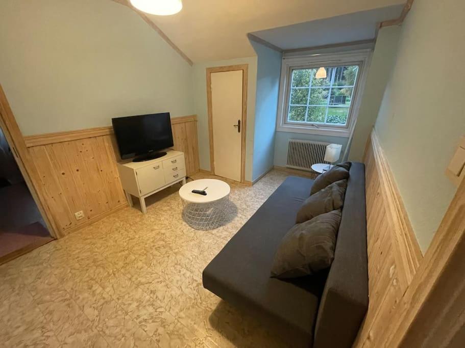 Large Cozy Villa Between Stockholm And Oslo Amotfors Экстерьер фото