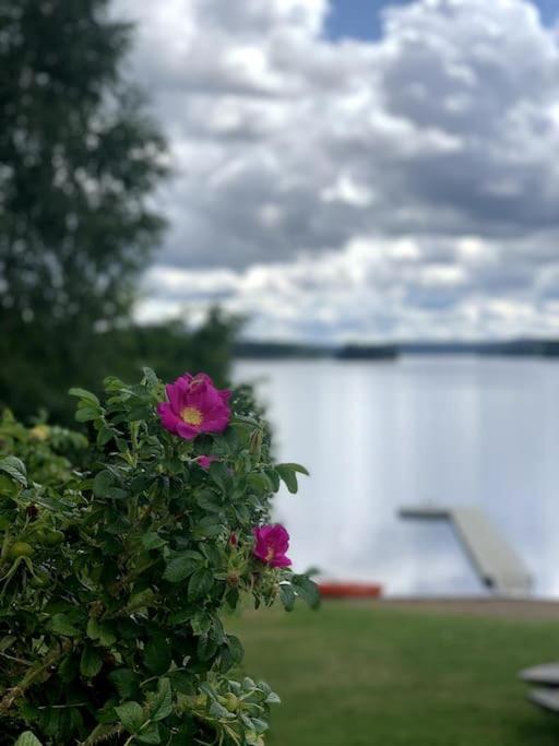 Large Cozy Villa Between Stockholm And Oslo Amotfors Экстерьер фото